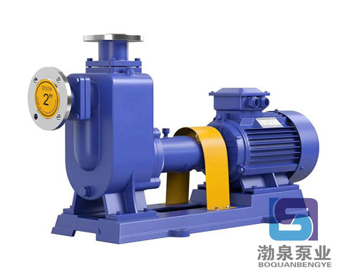 ZW400-1400-20-自吸式無堵塞排污泵